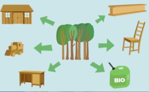 There are many different uses of wood that displace fossil emissions products and their uses. Each has a different level of impact with some reducing fossil emission much more than others. 